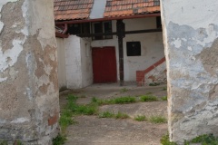 SAM_0453